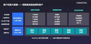 2019全球數字價值峰會 WakeData李柯辰——以數據為橋，連接品牌與客戶